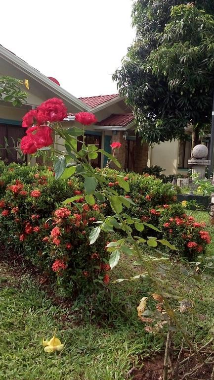 Hotel Boutique Malibu Los Suenos Tigre  Dış mekan fotoğraf